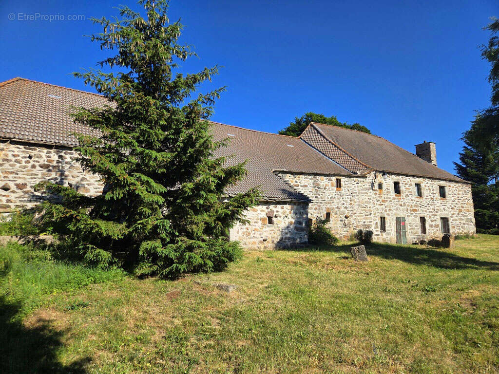 Belle ferme en pierre indépendante proche du Béage - photo 5