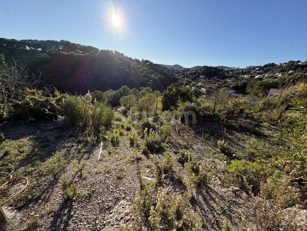 Terrain à VALLAURIS