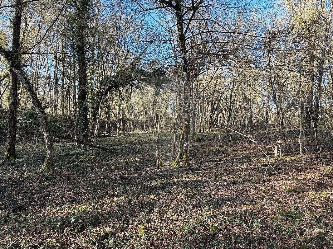 Terrain à CERCY-LA-TOUR