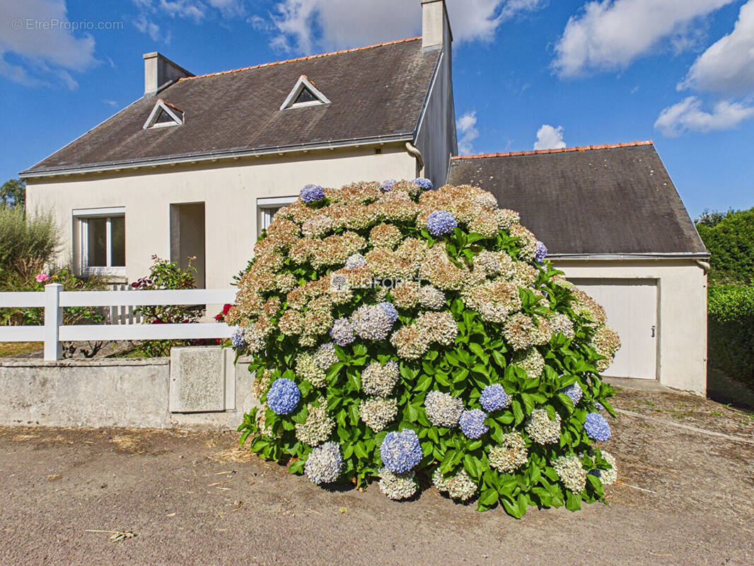 Maison à PLONEOUR-LANVERN