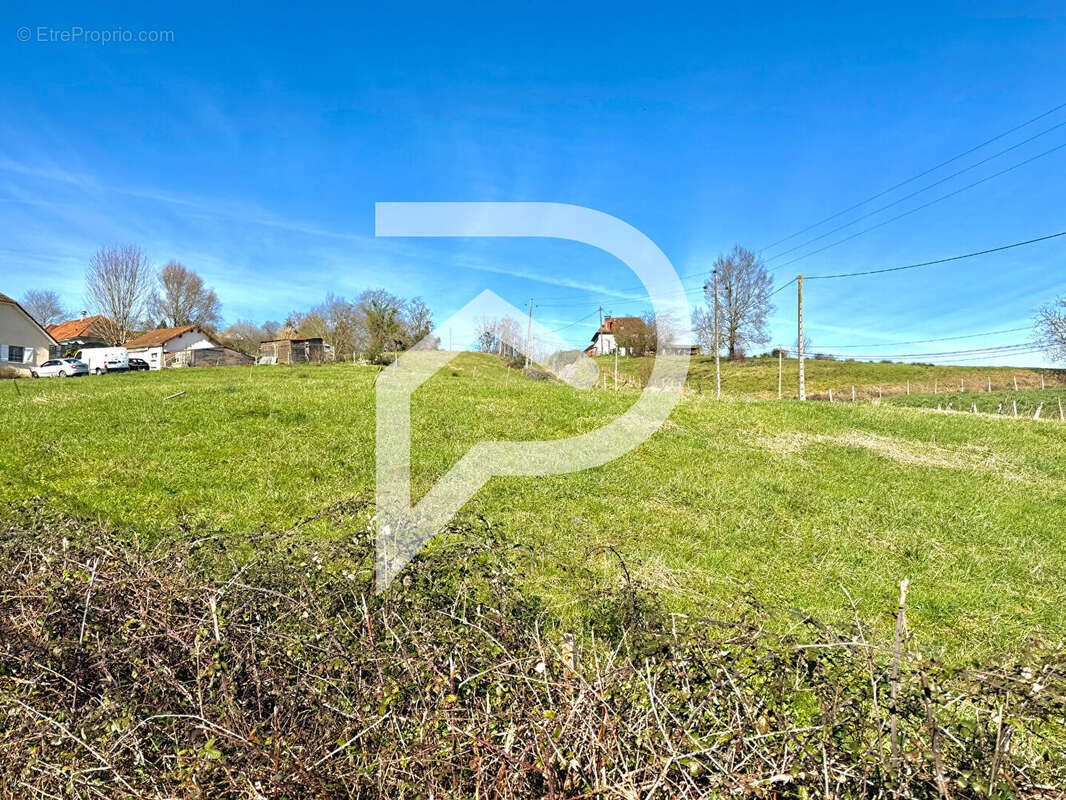 Terrain à VIELLESEGURE