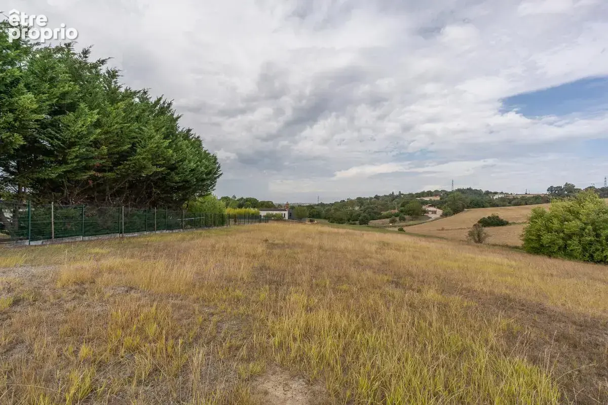 Terrain 4 418 m² à vendre à Quint-Fonsegrives (31130) - photo 6