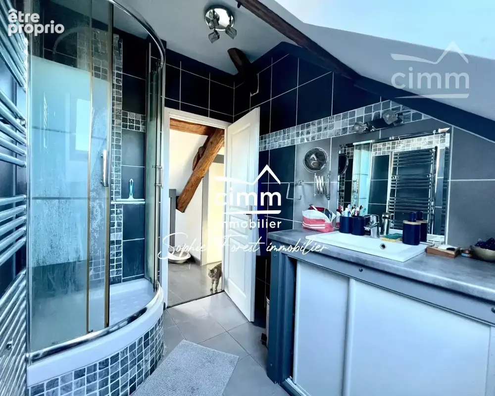 A vendre : Appartement de charme à Lamorlaye centre - photo 7