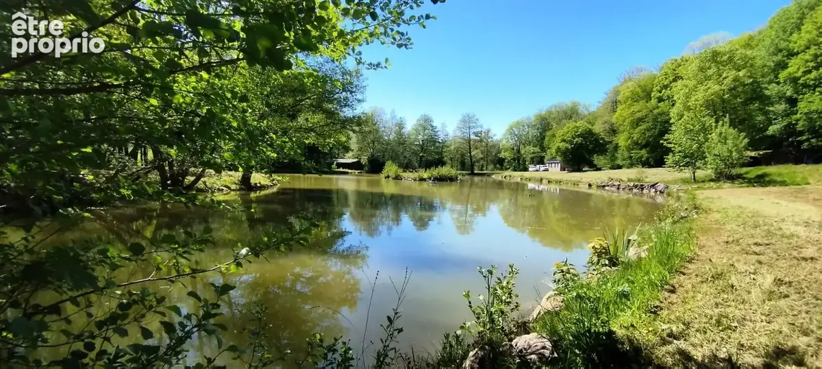 Pour amoureux de la nature - photo 6