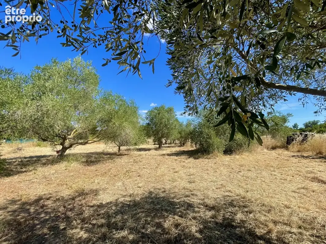 Maison 24 m² à Cazouls-D'herault  - photo 5