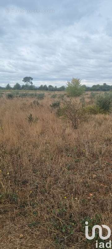 Photo 2 - Terrain à CANET