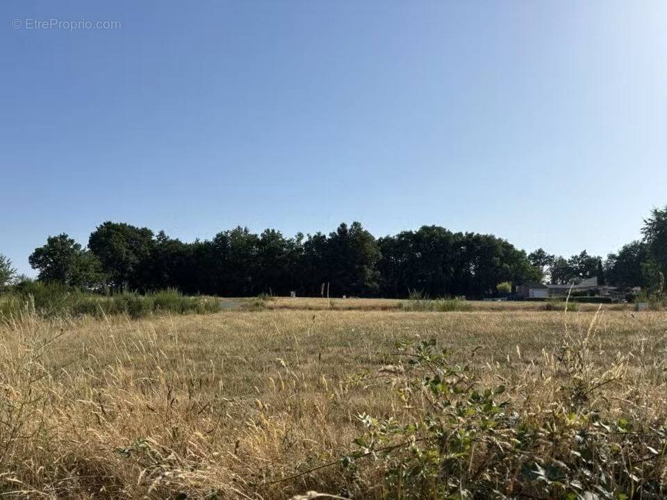 Terrain à MOUILLERON-LE-CAPTIF