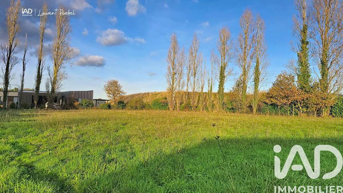 Photo 7 - Terrain à ALLAIRE