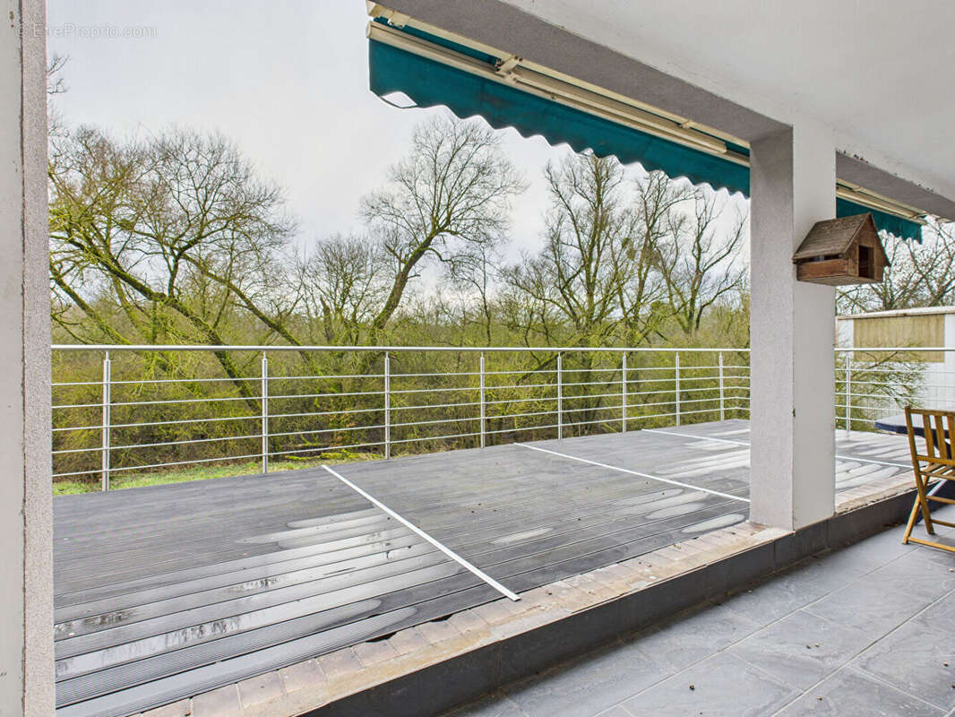 Terrain à BERTRANGE