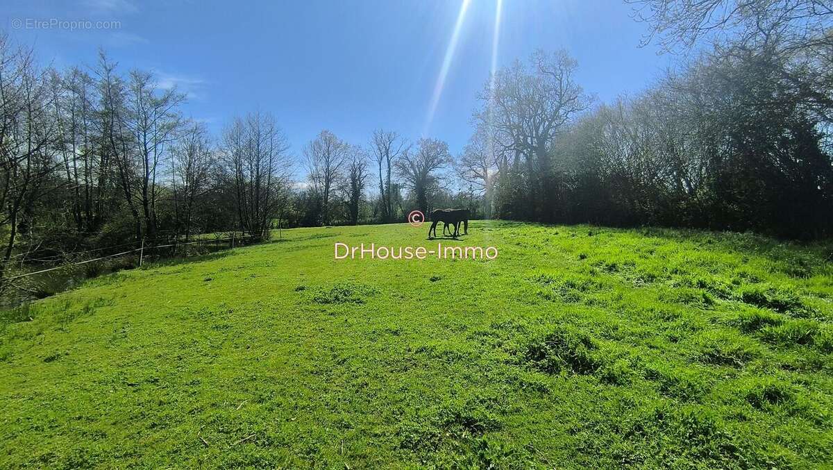 Terrain à LA RONDE-HAYE