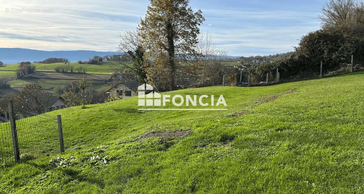 Ferme rénovée sur 9000 mètres de terrain - photo 3