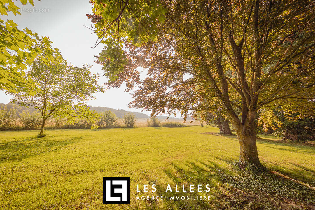 Maison à LA REPARA-AURIPLES