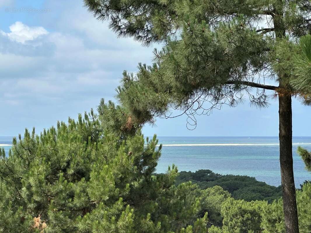 Maison à LE BOUSCAT