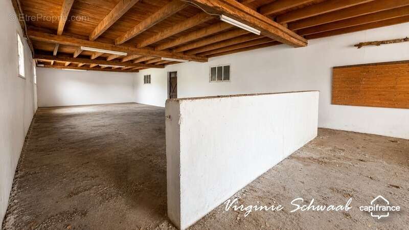 TILH (40) – Maison de 9 pièces avec dépendances sur plus de 3 000 m² de terrain - photo 21