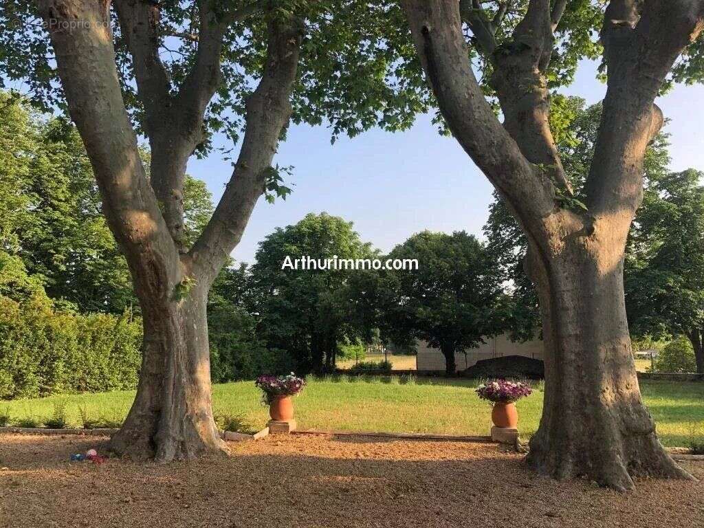 Vente Maison Aups(83630) 1 250 000ï¿œ - photo 3