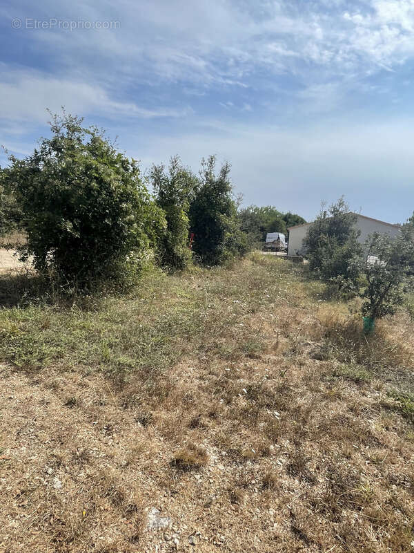 À vendre   Terrain constructible de plus de 1 300 m2 à Issirac - photo 4