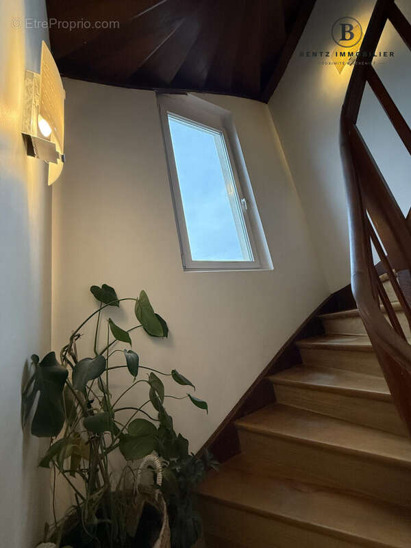 Escalier vers étages - Maison à HOENHEIM