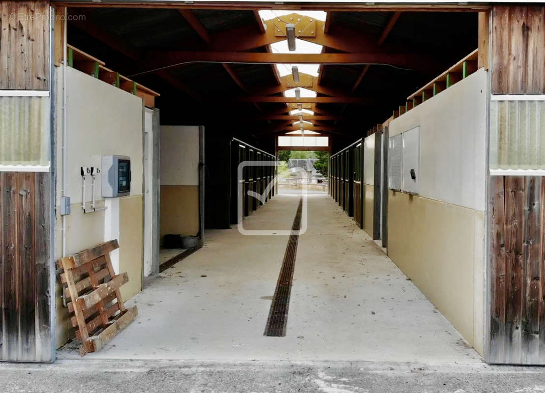 Maison à BRIVE-LA-GAILLARDE