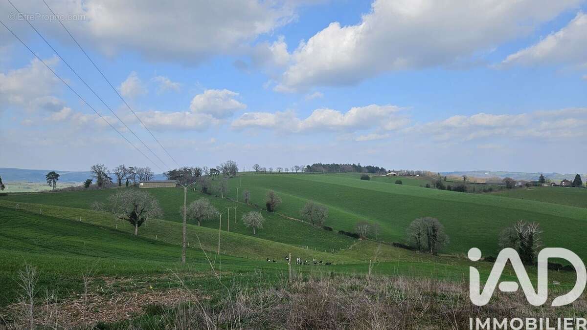 Photo 6 - Maison à CALVINET