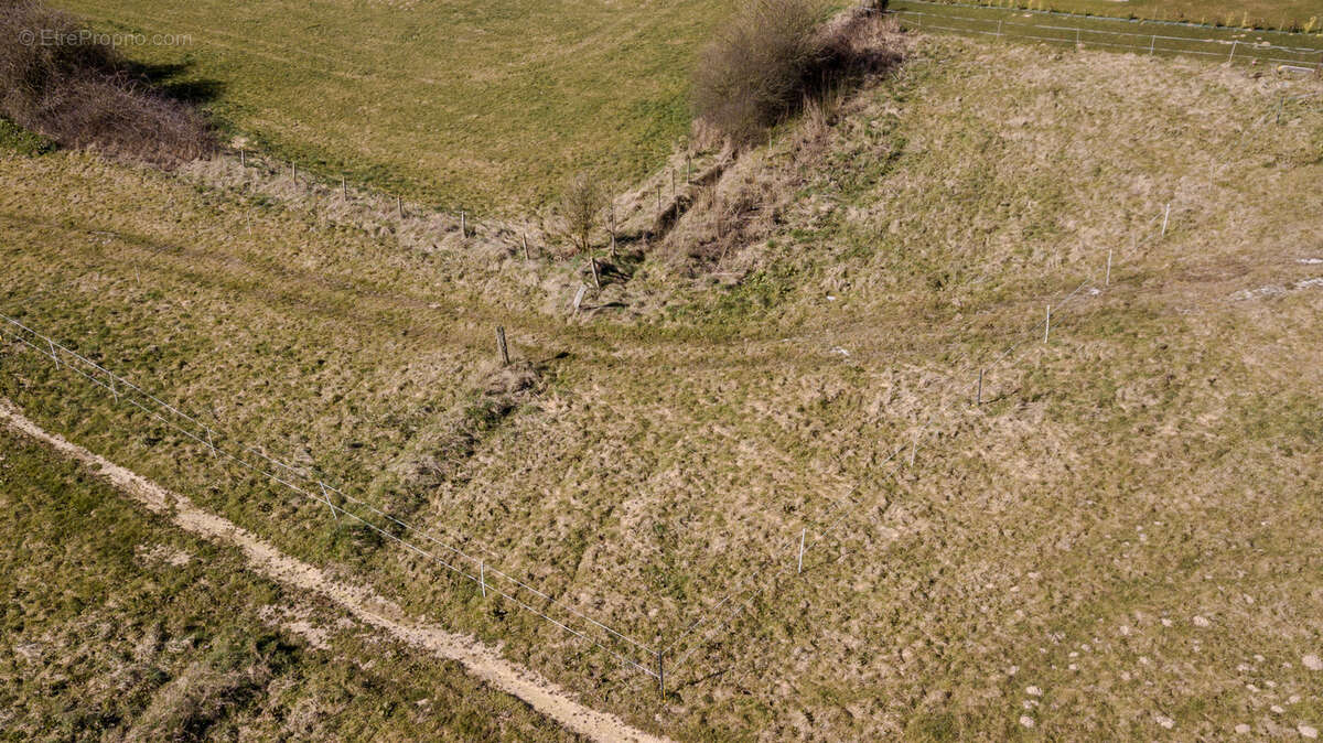 Terrain à LE BOCASSE