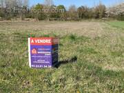 Très beau terrain constructible d'une surface de 5428 m² - Terrain à PRESLES-ET-BOVES