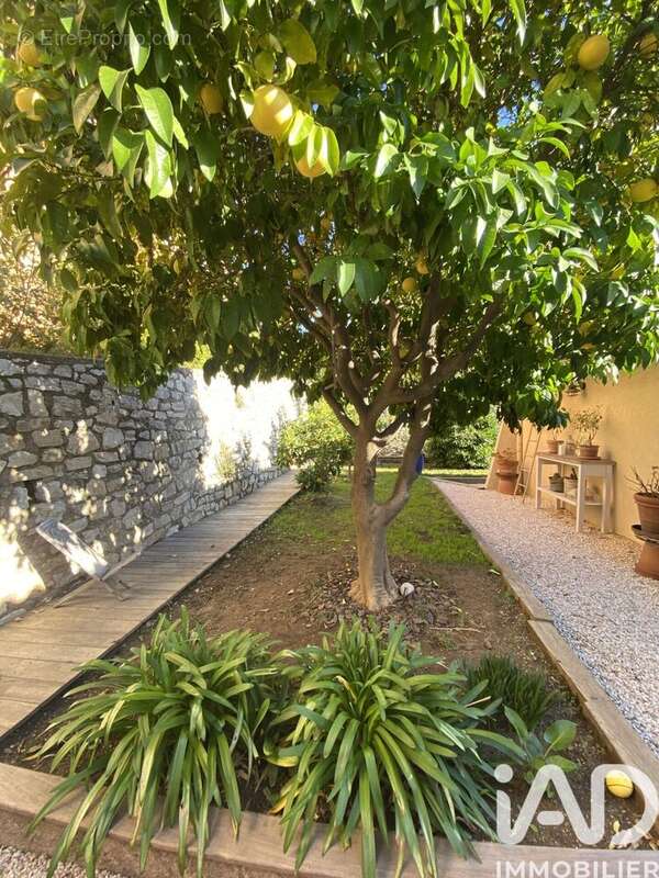 Photo 7 - Maison à COGOLIN