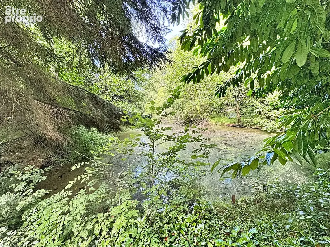 Exclusivite - cossesseville - terrain de loisirs - photo 13