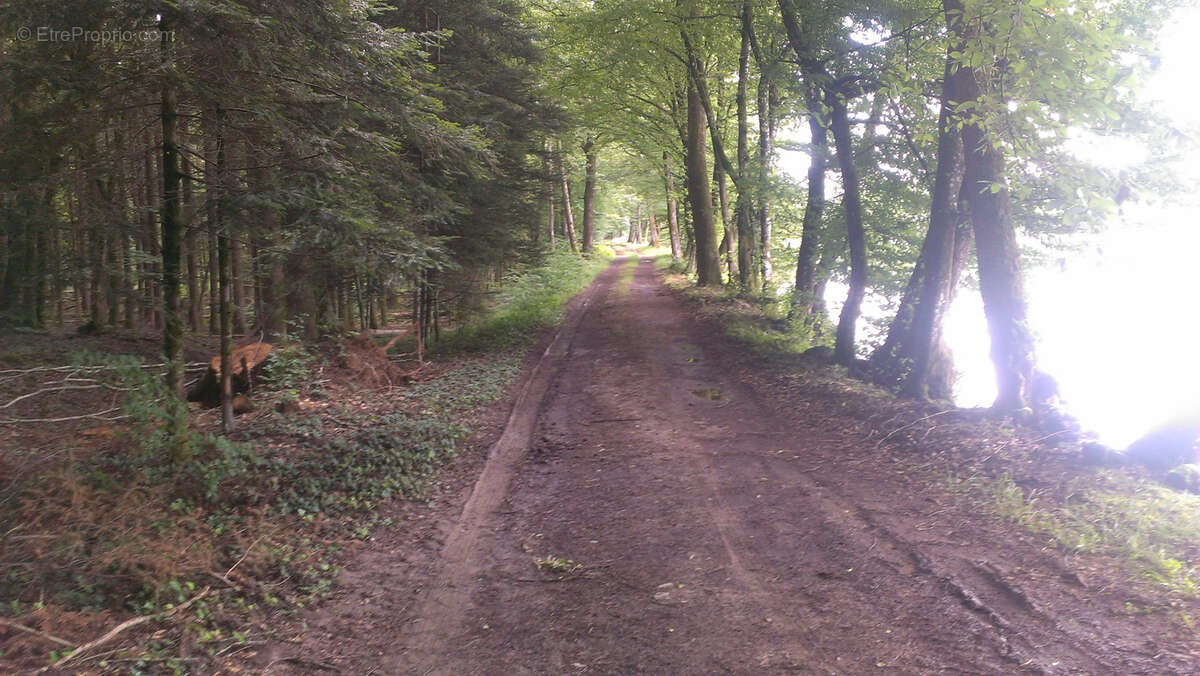 Terrain à PLOMBIERES-LES-BAINS