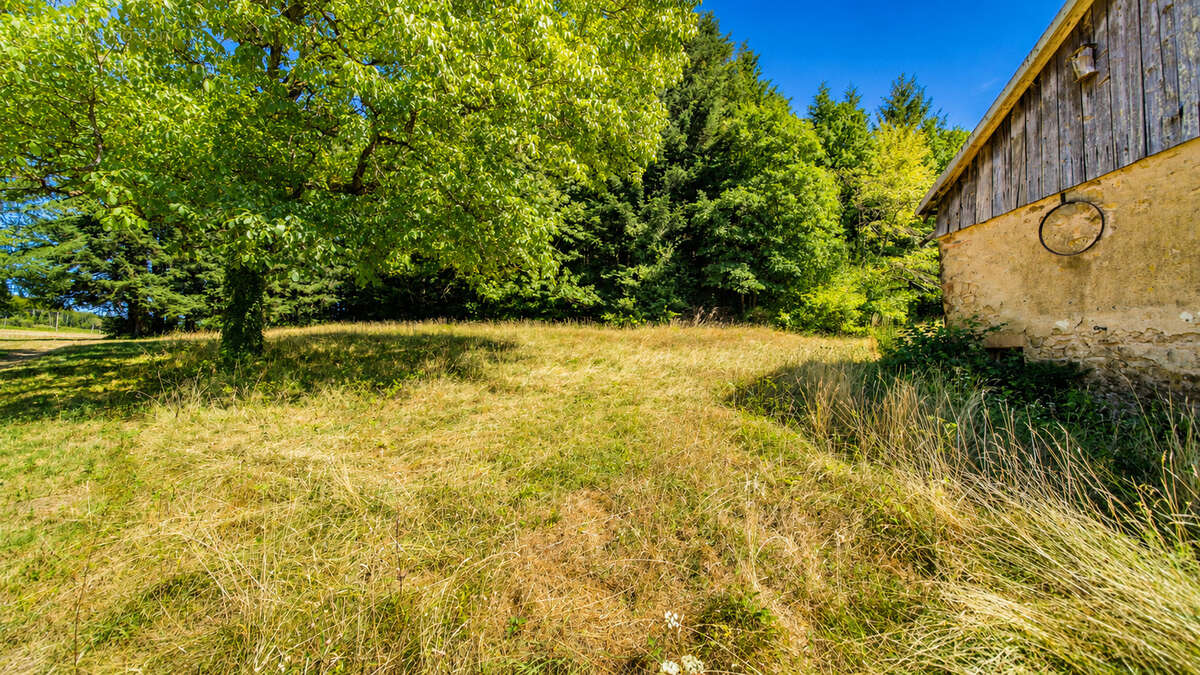 Exclusivite ! ferme 1 hectare cadre nature - photo 3