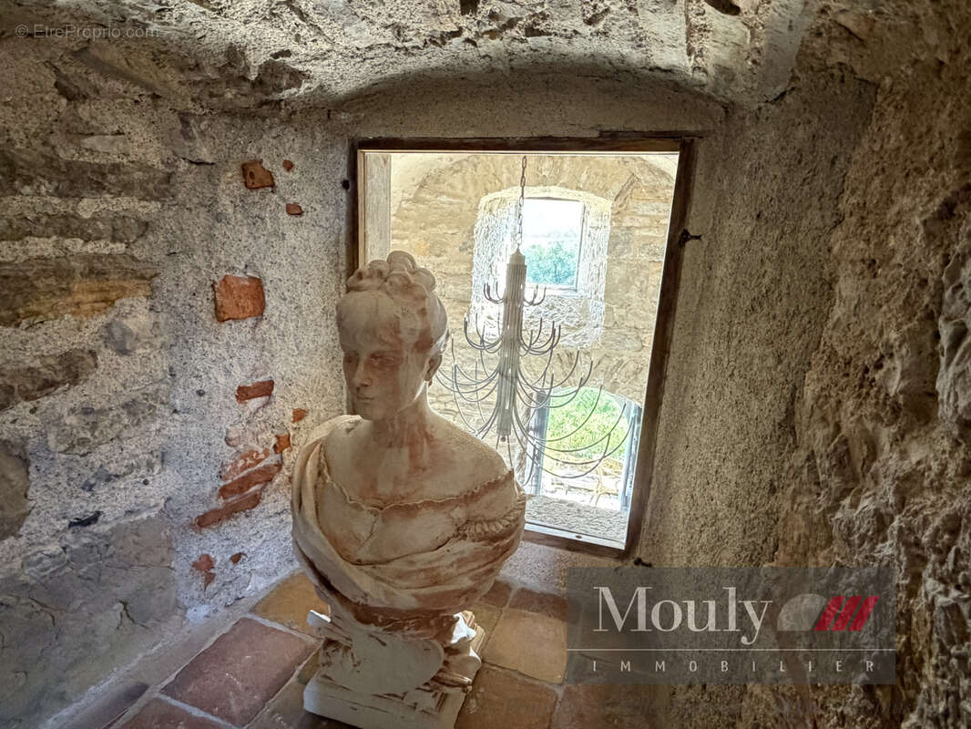 Chateau  avec vue exceptionnelle sur le lot - photo 14