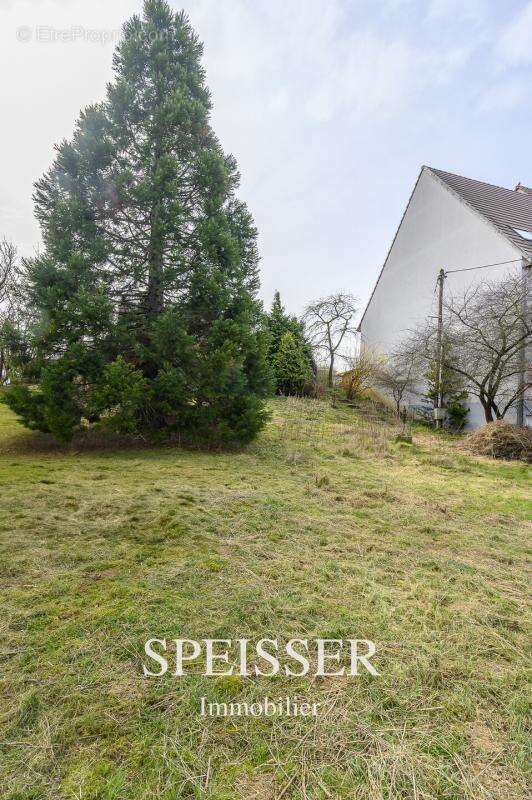 Terrain à WILLGOTTHEIM