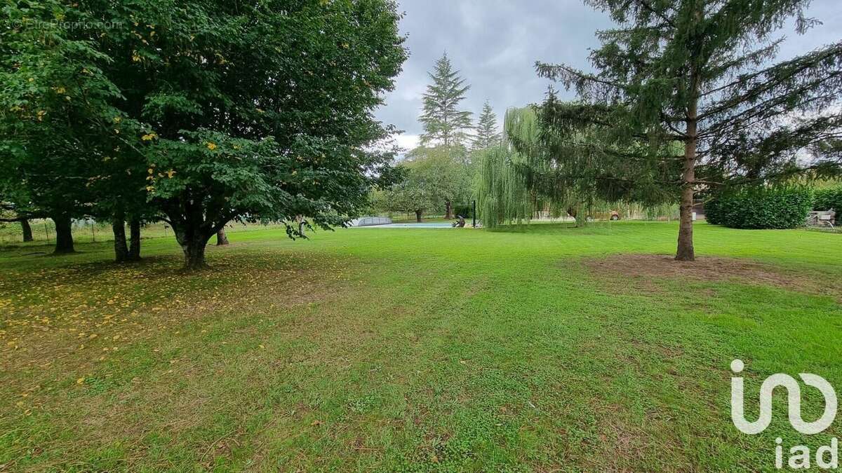 Photo 5 - Maison à SAINT-PEY-DE-CASTETS