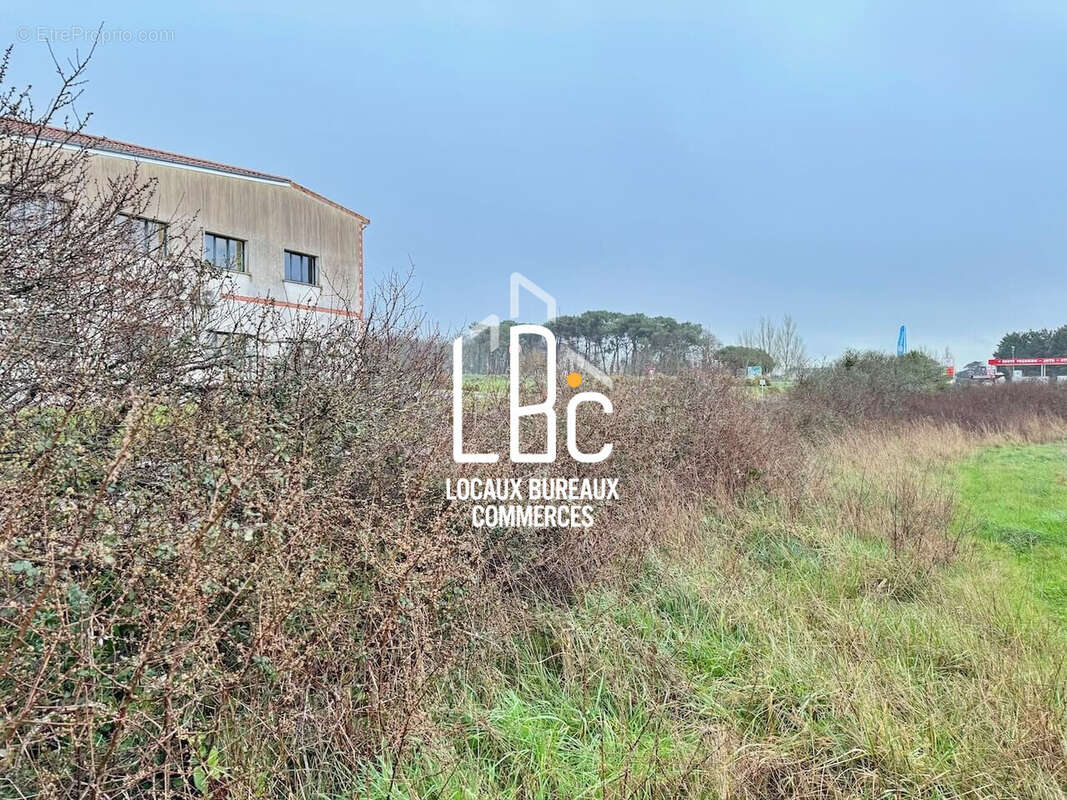 Terrain à BOURGNEUF-EN-RETZ