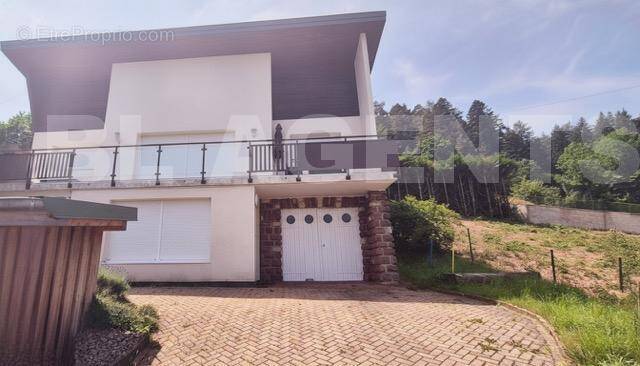 generated_2025-09-16T22_33_53 Moyenne - Maison à WANGENBOURG-ENGENTHAL