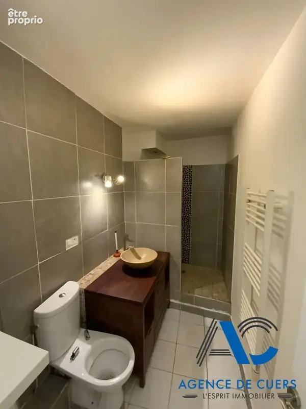 Appartement  2 pièces Avec locataire. - photo 6