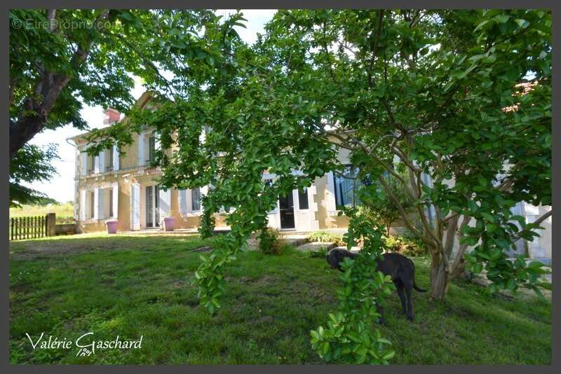 Maison à LE PIZOU