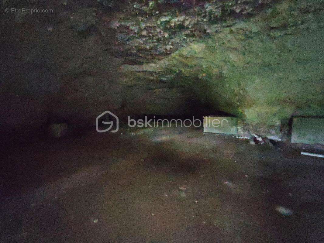 caves et terrain 3173 m² - photo 13