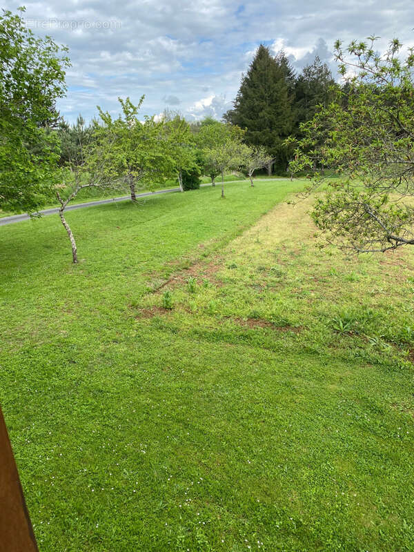 Maison à BLANQUEFORT-SUR-BRIOLANCE