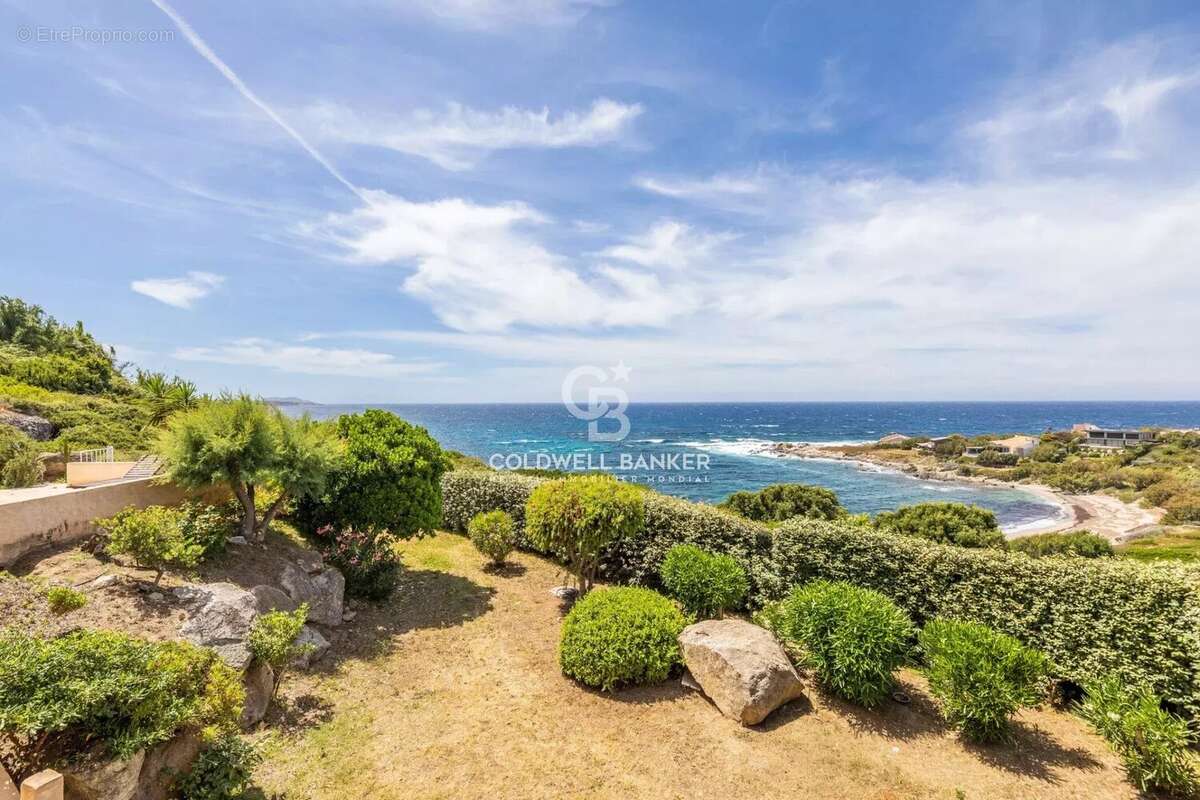 Marine de Davia – Vue mer panoramique – Piscine – Accès plage à pied - photo 27