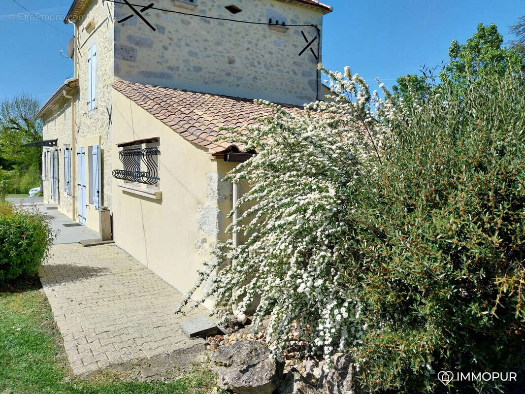 Maison 206 m² à Saint-Meard-De-Gurcon  - photo 8