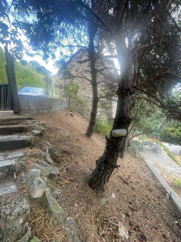 Malarce sur la thine - photo 14