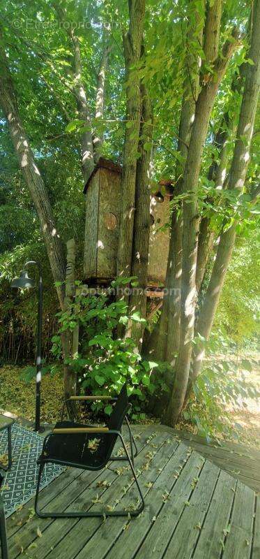 Grande villa T5 avec gite T2 en pleine nature! - photo 7