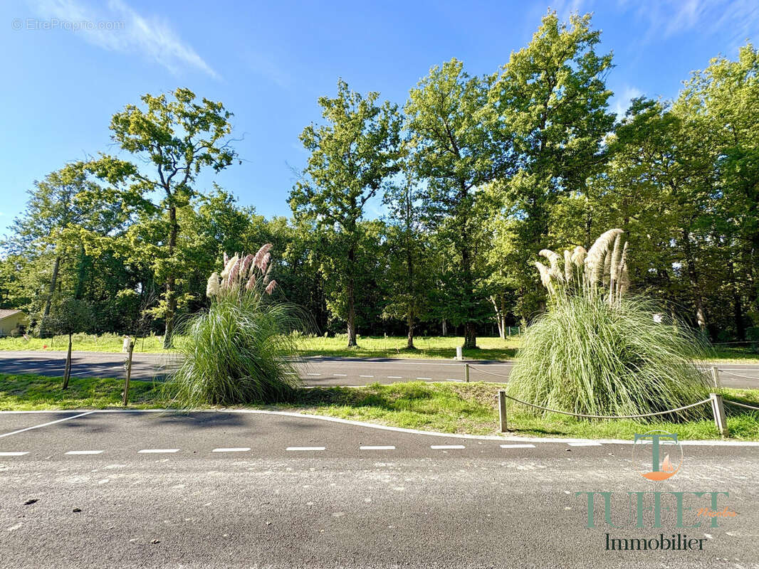 Terrain à LA TREMBLADE