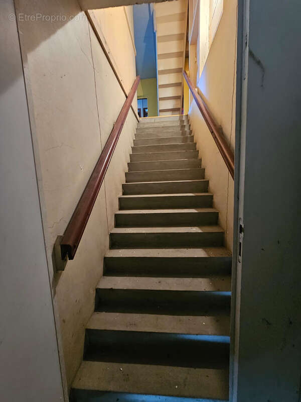 Commerce à RIVIERE-SALEE