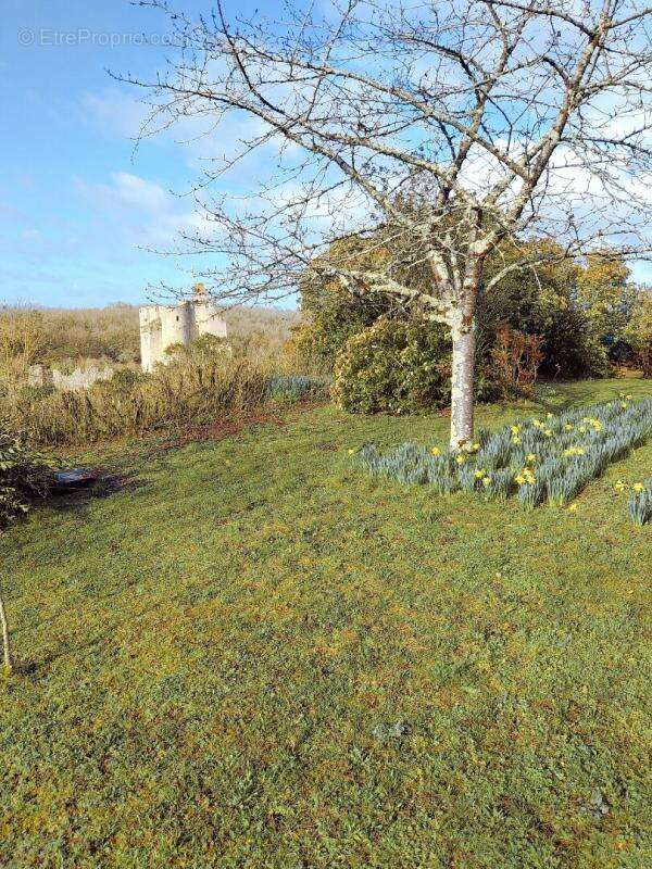 Maison à ANGLES-SUR-L'ANGLIN