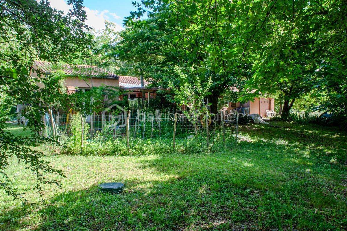 Maison de plain-pied avec terrain plat et arboré de 5 587 m² - photo 13