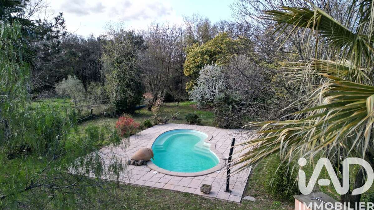 Photo 4 - Maison à MONTESQUIEU-DES-ALBERES
