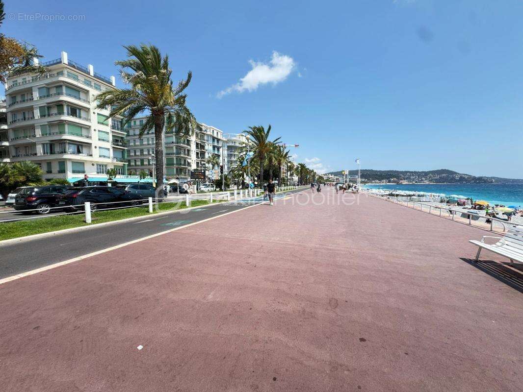 Promenade des Anglais grand studio au calme sur jardins - photo 17