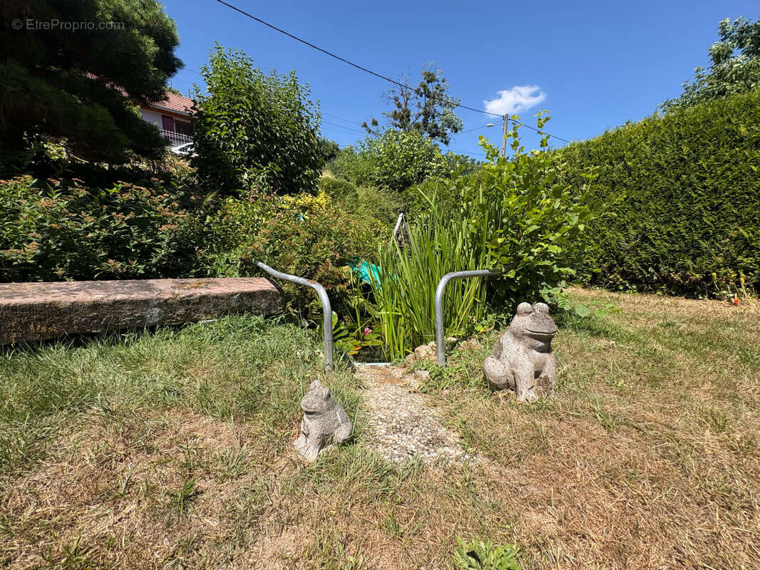 Ravissante maison au calme à Plancher-Bas (70) avec AVENIR IMMO - photo 6
