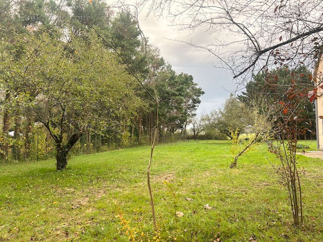 Appartement à SAINT-ETIENNE-DE-TULMONT